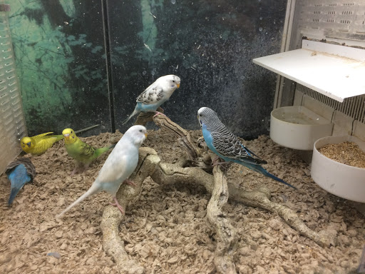 Pet Store «All Pet Center», reviews and photos, 1950 S Atlantic Blvd, Monterey Park, CA 91754, USA