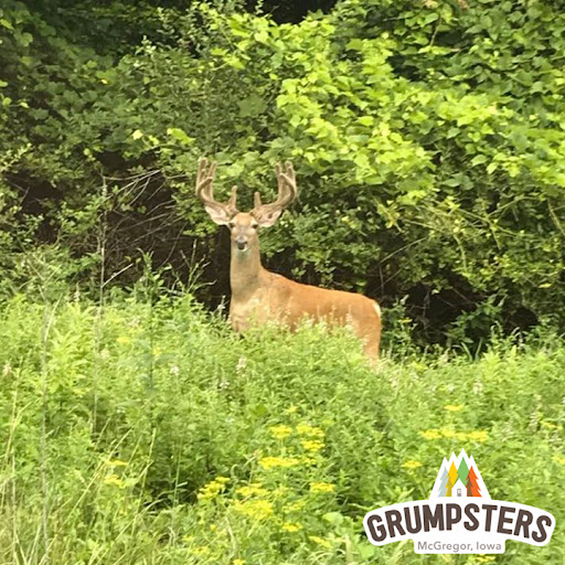 Cabin Rental Agency «Grumpsters Log Cabins», reviews and photos, 535 Ash St, McGregor, IA 52157, USA