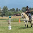 Big Sky Horse Park