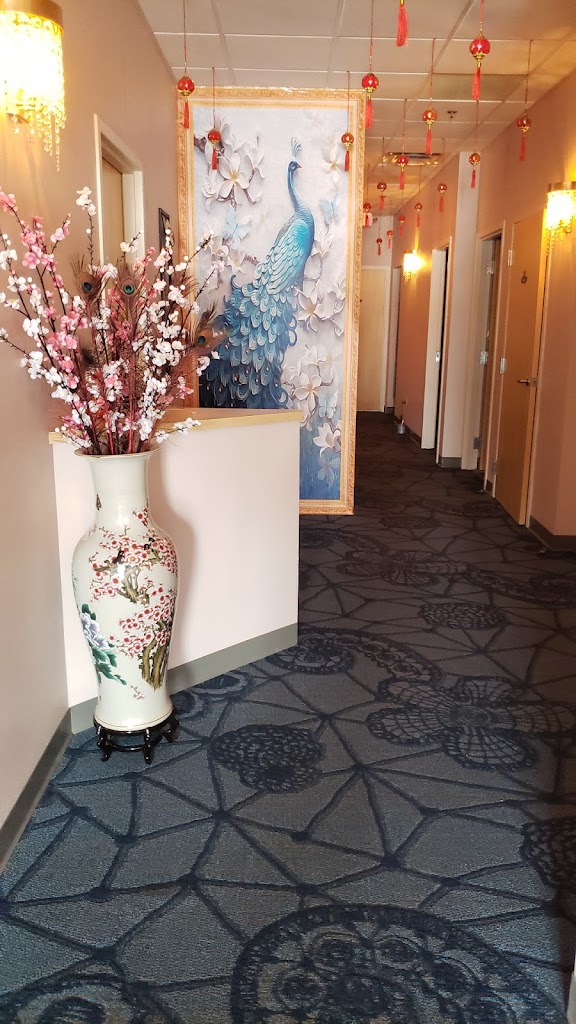 New Life Foot and Body Spa Madison, WI 53704 Services and Reviews