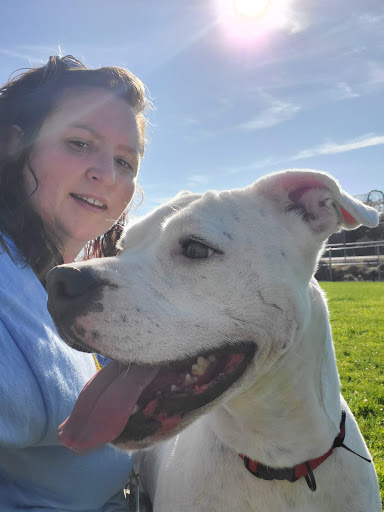 Placer County Animal Services Center image