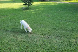 Amelia Earhart Dog Park image