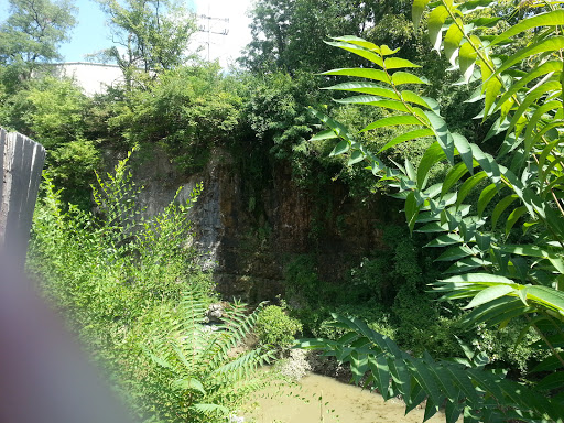 Tourist Attraction «Louisville Mega Cavern», reviews and photos, 1841 Taylor Ave, Louisville, KY 40213, USA