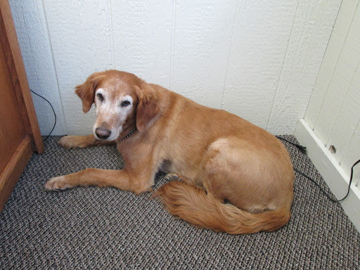 Used Car Dealer «Marion Auto Sales», reviews and photos, 1372 Mt Vernon Ave, Marion, OH 43302, USA