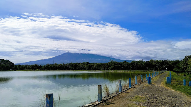 Foto Utama