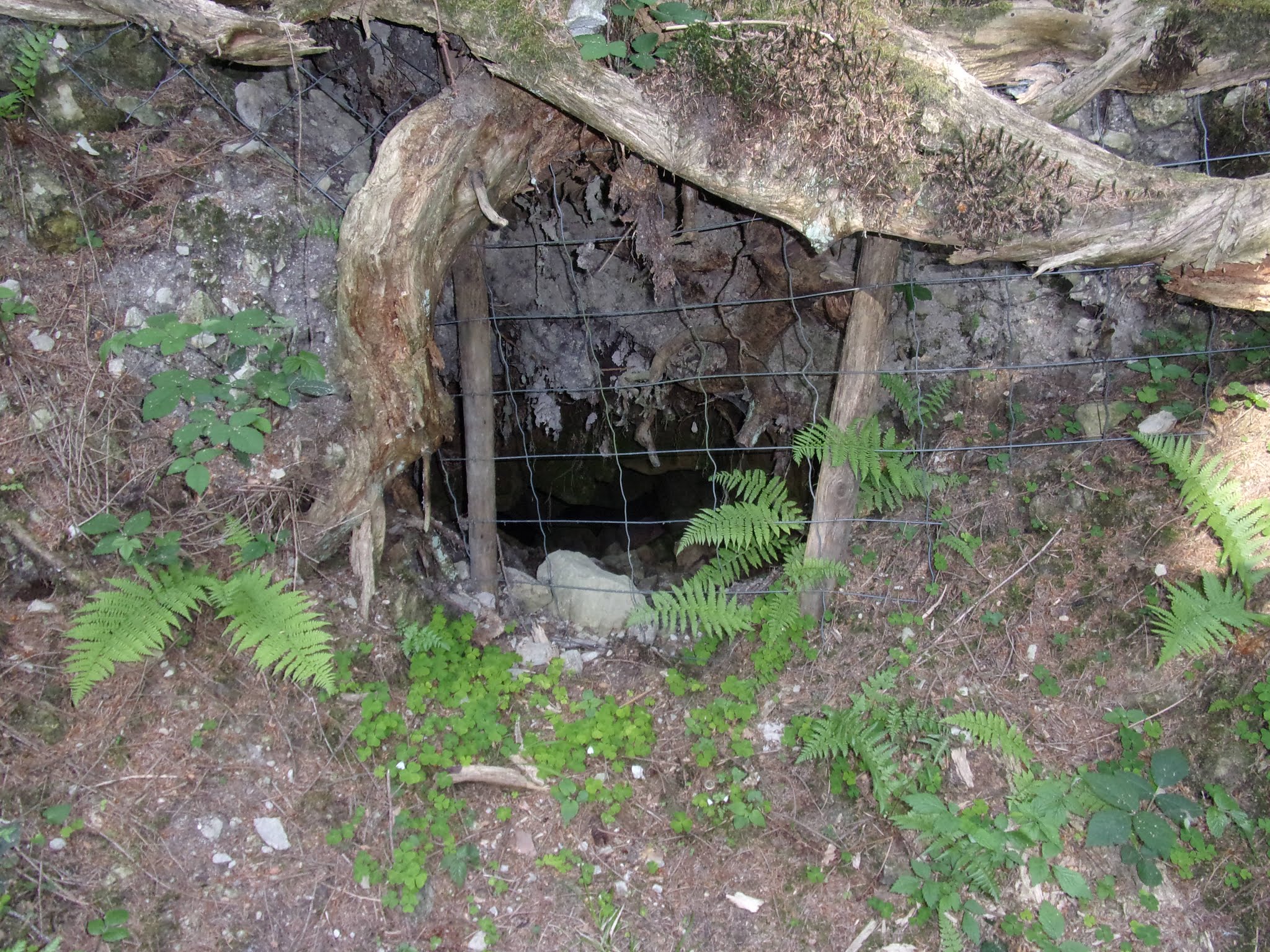 Photo n° 3 de l'avis de Thierry.o fait le 17/05/2018 à 02:49