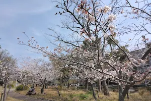 Matsugaoka Park image