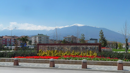 Eyalet Parkı