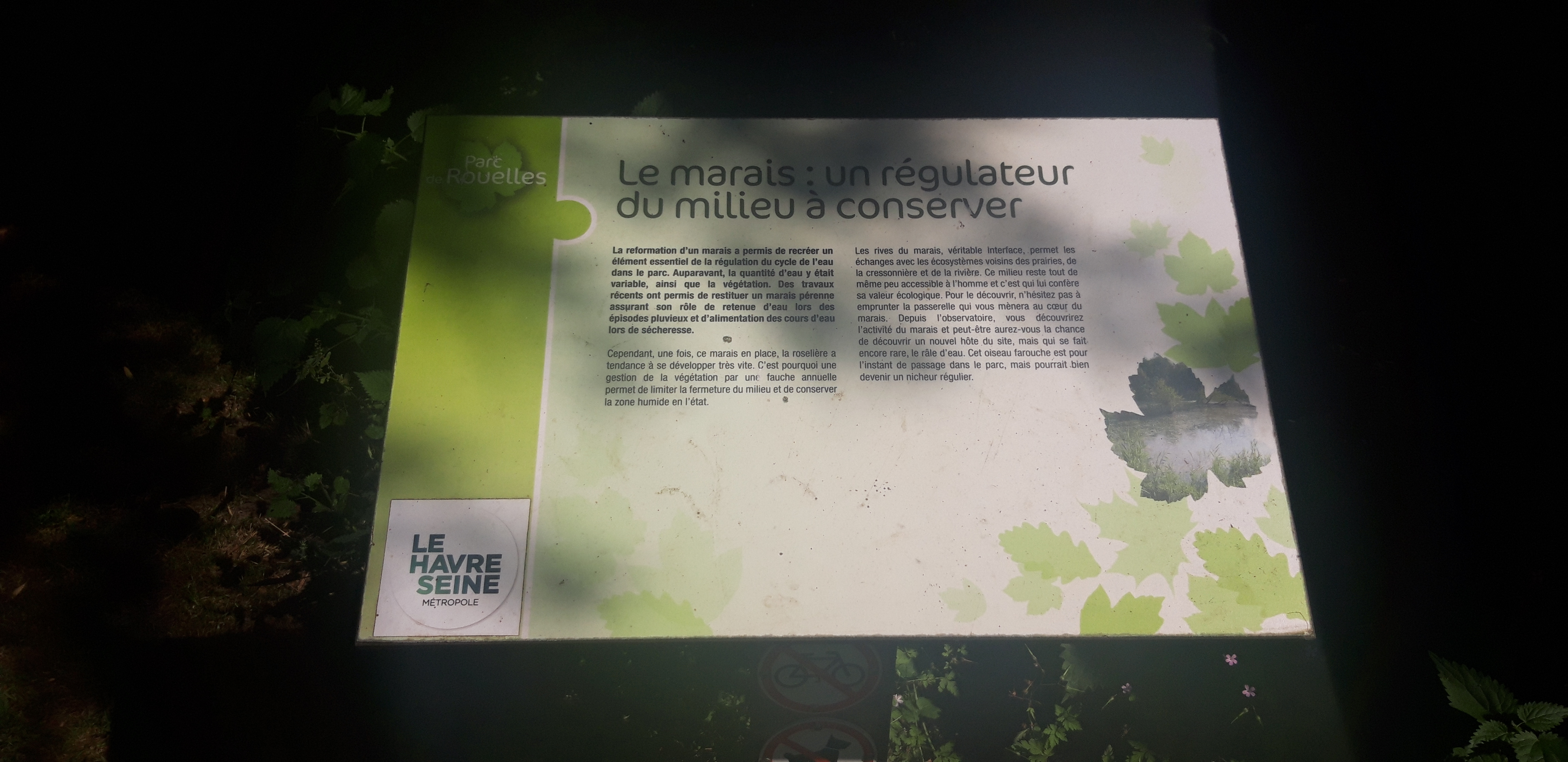 Photo n° 13 de l'avis de Marc.A fait le 20/07/2021 à 16:37