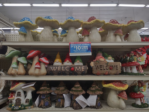 Discount Store «Big Lots», reviews and photos, 1670 W Katella Ave, Anaheim, CA 92802, USA