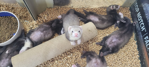 Animal Feed Store «New Braunfels Feed & Supply», reviews and photos, 810 Loop 337, New Braunfels, TX 78130, USA