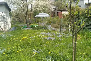Ogródki Działkowe image