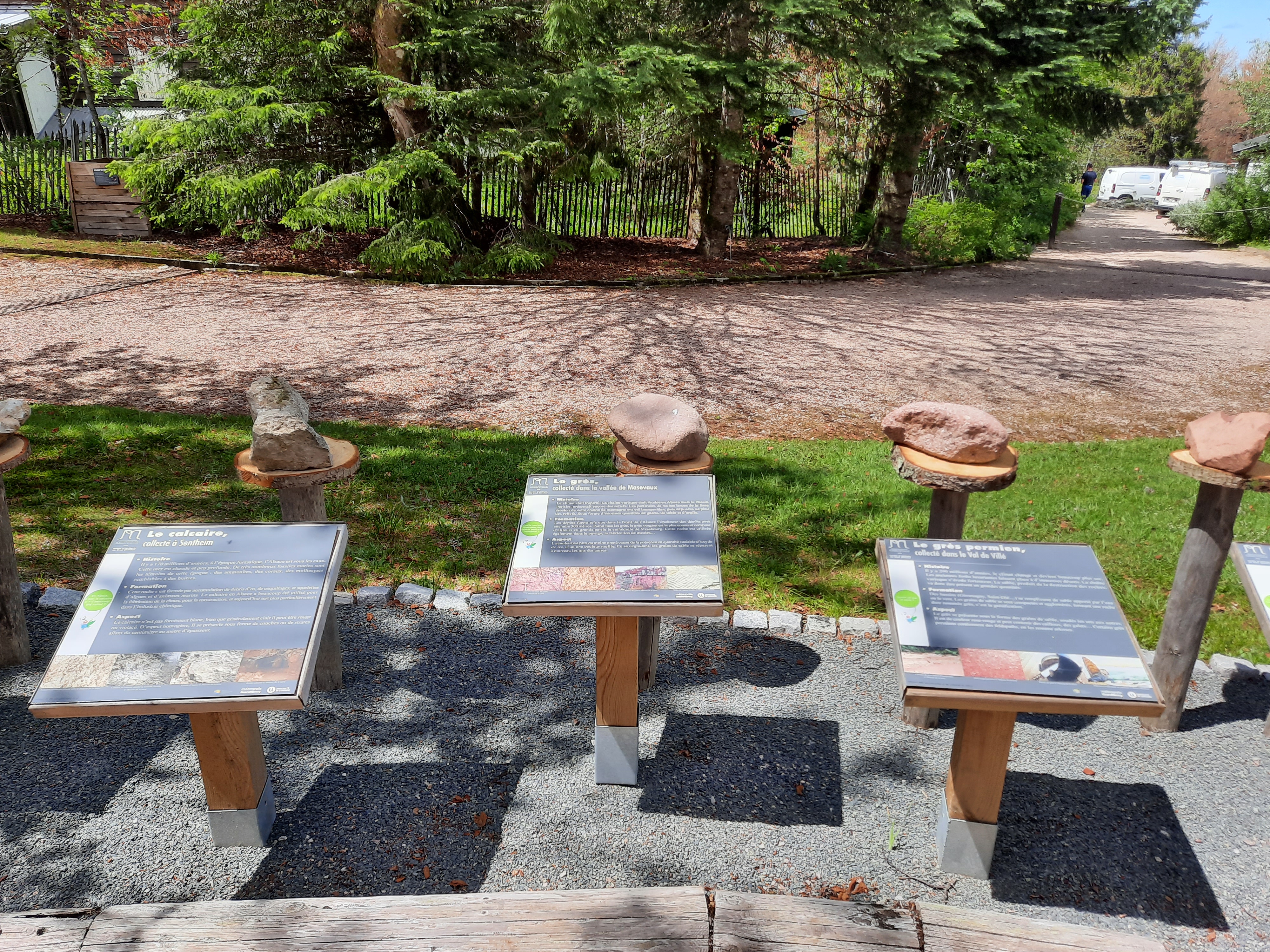 Photo n° 16 de l'avis de Victoria.e fait le 22/06/2020 à 21:37