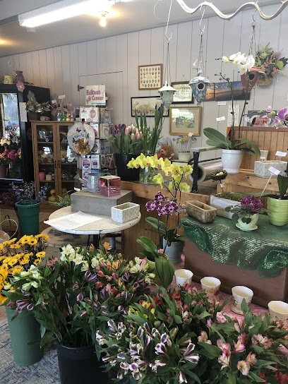 Wonderland Florist, Nursery and Farm Market