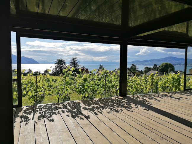Rezensionen über Domaine Bertholet Terrasse in Montreux - Catering
