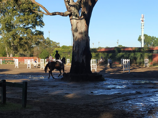 Horse riding courses Buenos Aires