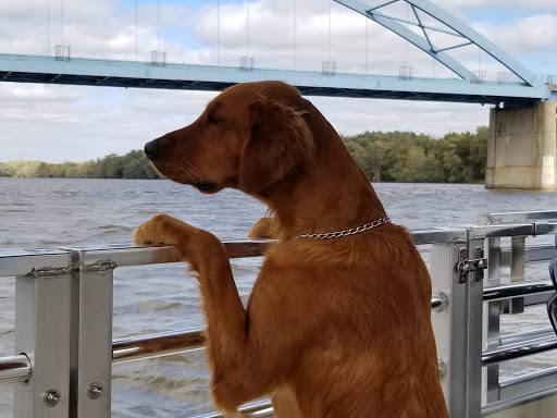 Boat Tour Agency «Maiden Voyage Tours», reviews and photos, 111 Front St, McGregor, IA 52157, USA