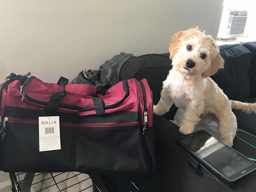 Pet Supply Store «Petco Animal Supplies», reviews and photos, 95 U.S. 9, Englishtown, NJ 07726, USA