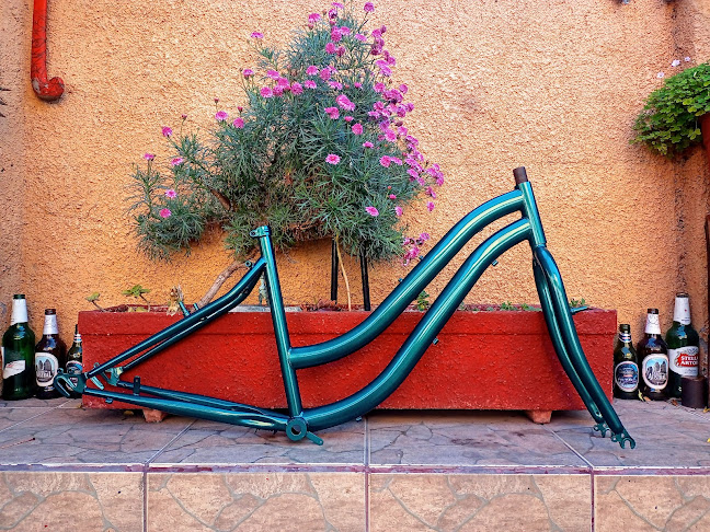 Reparación De Bicicletas - Tienda de bicicletas