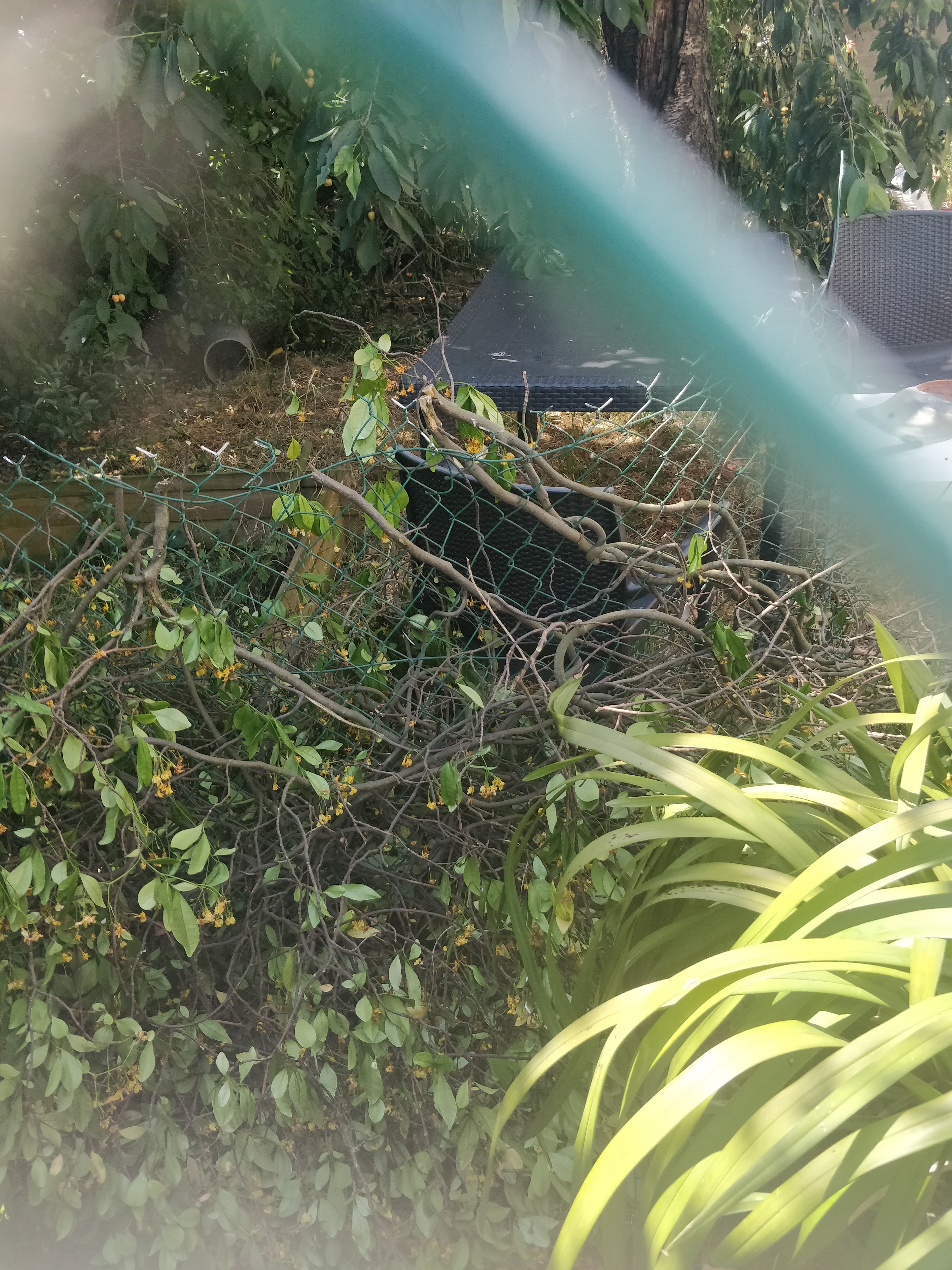 Photo n° 2 de l'avis de Antonin.e fait le 12/09/2023 à 14:41