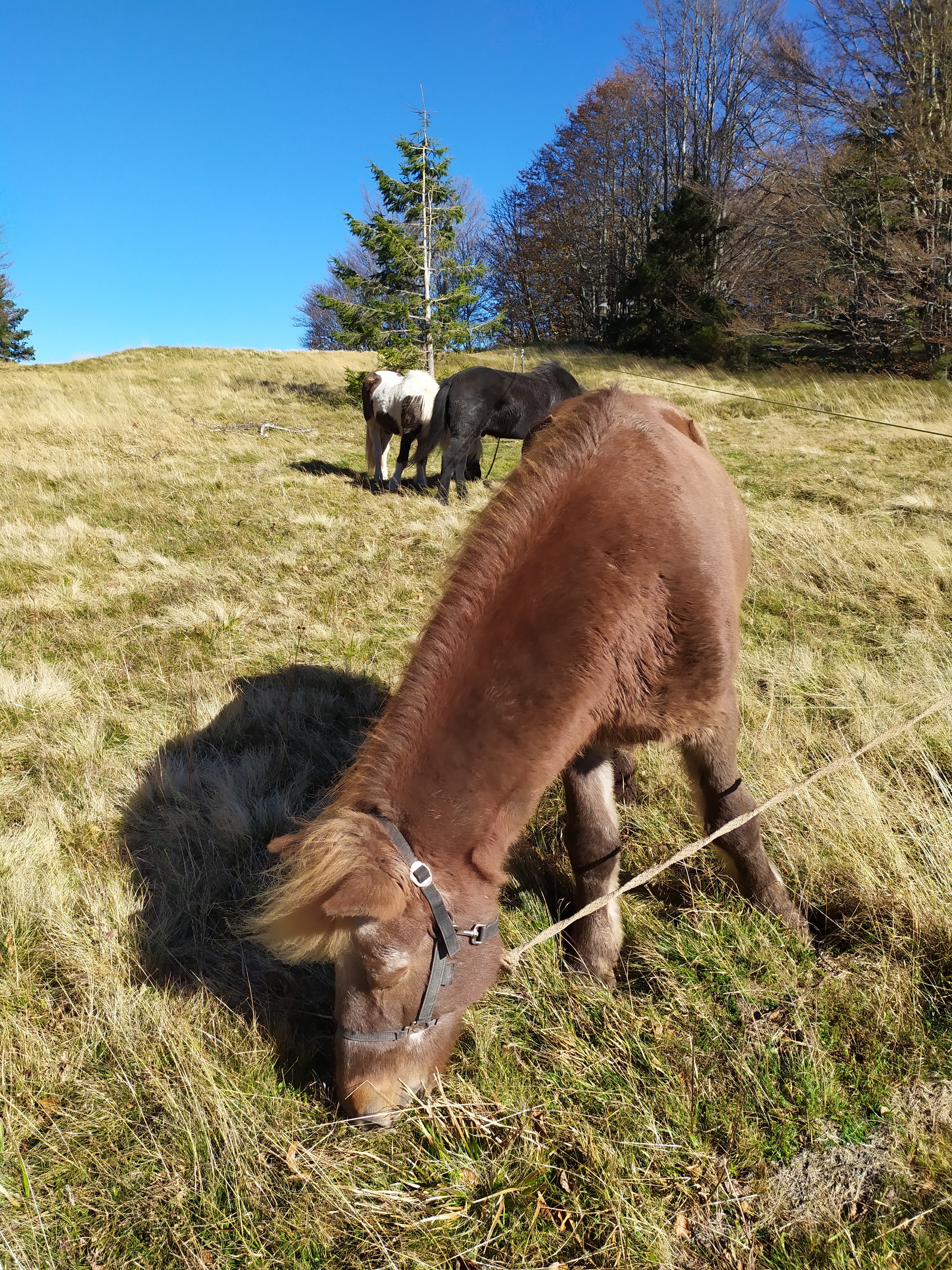 Photo n° 6 de l'avis de Eric.o fait le 07/11/2021 à 14:17