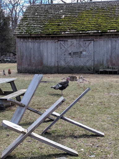 Museum «Coggeshall Farm Museum», reviews and photos, 1 Colt Dr, Bristol, RI 02809, USA