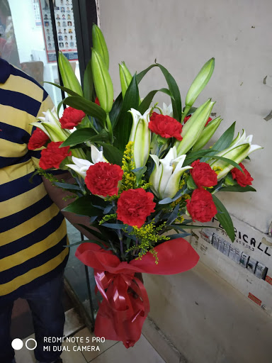 BloomsVilla- Send Flowers In Delhi