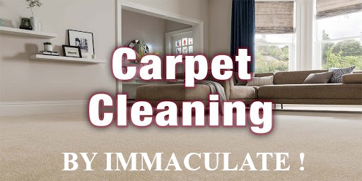 Curtain and upholstery cleaning service New Haven