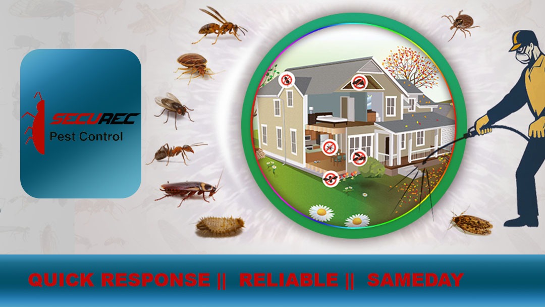 Securec Pest Control and Cleaning Services