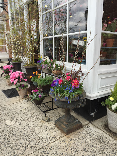 Florist «Earth Garden», reviews and photos, 89 Elm St, New Canaan, CT 06840, USA