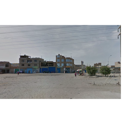 Botica FVYP bt flor victoria