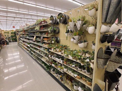 Craft Store «Hobby Lobby», reviews and photos, 6320 W Plano Pkwy, Plano, TX 75093, USA