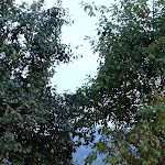 Photo n°7 de l'avis de Barbi.a fait le 10/09/2021 à 22:05 sur le  Molare's à Cremolino