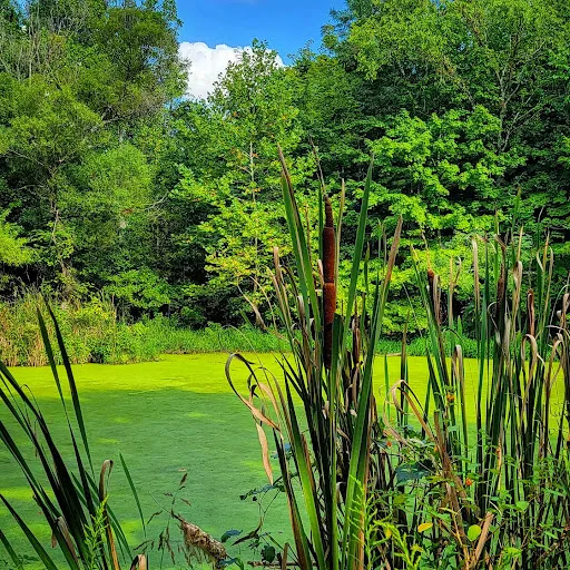 Nature Preserve «Cincinnati Nature Center», reviews and photos, 4949 Tealtown Rd, Milford, OH 45150, USA