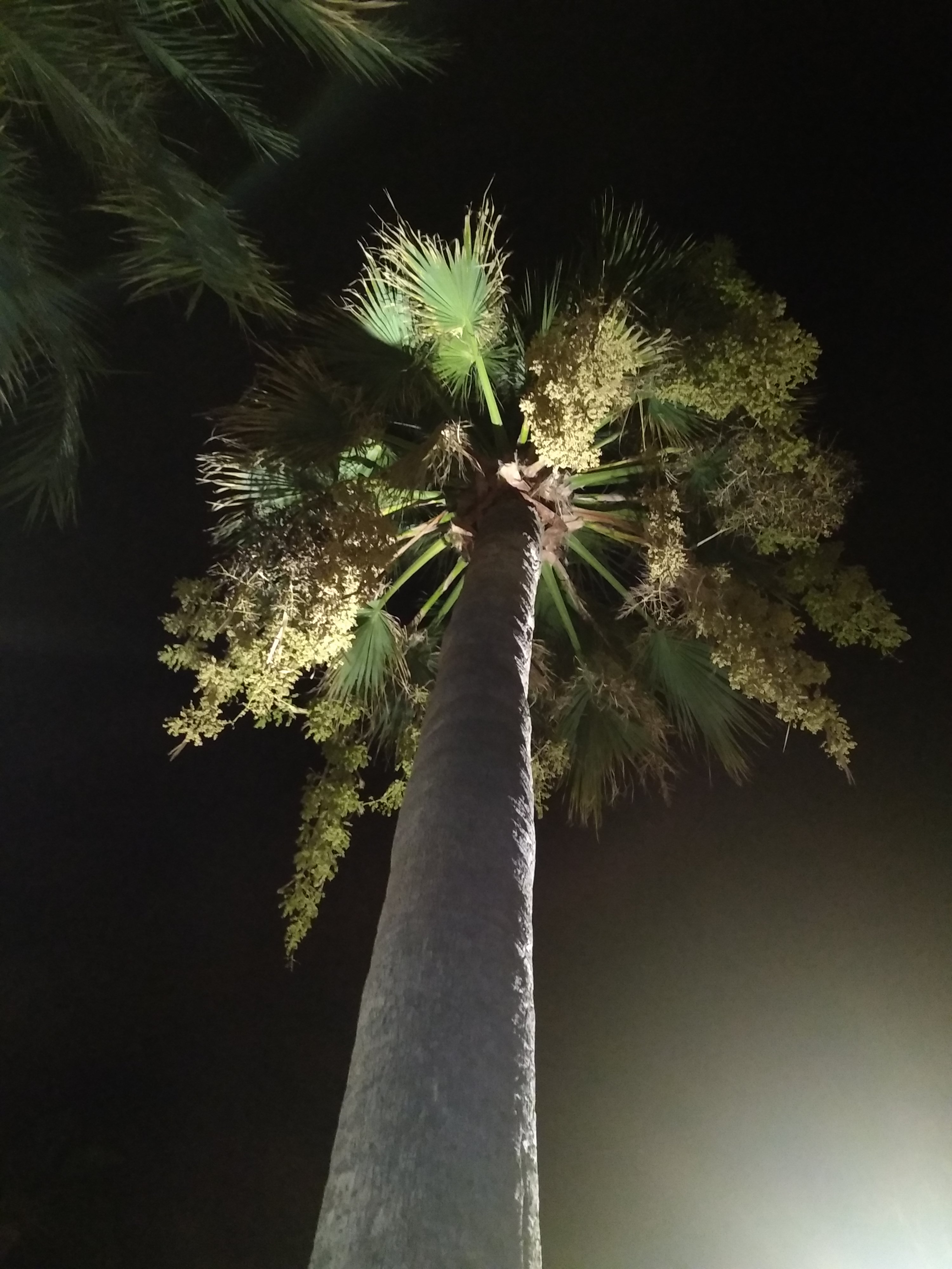 Photo n° 9 de l'avis de Nico.a fait le 11/10/2018 à 04:19