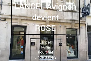 Rose Avignon image