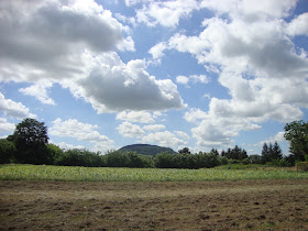 Kinizsi Pál Általános Iskola