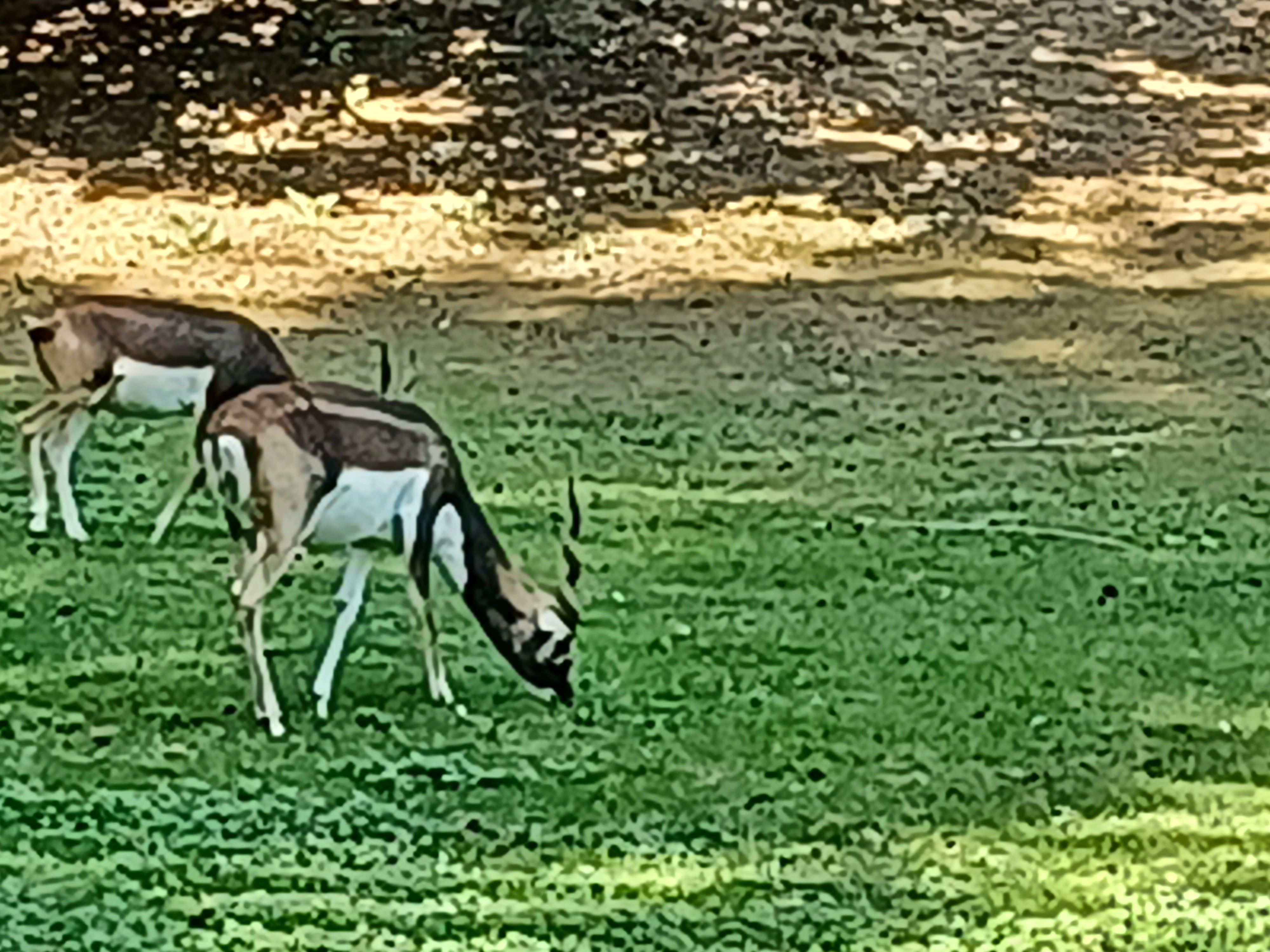 Photo n° 11 de l'avis de Pascale.e fait le 08/09/2021 à 15:53