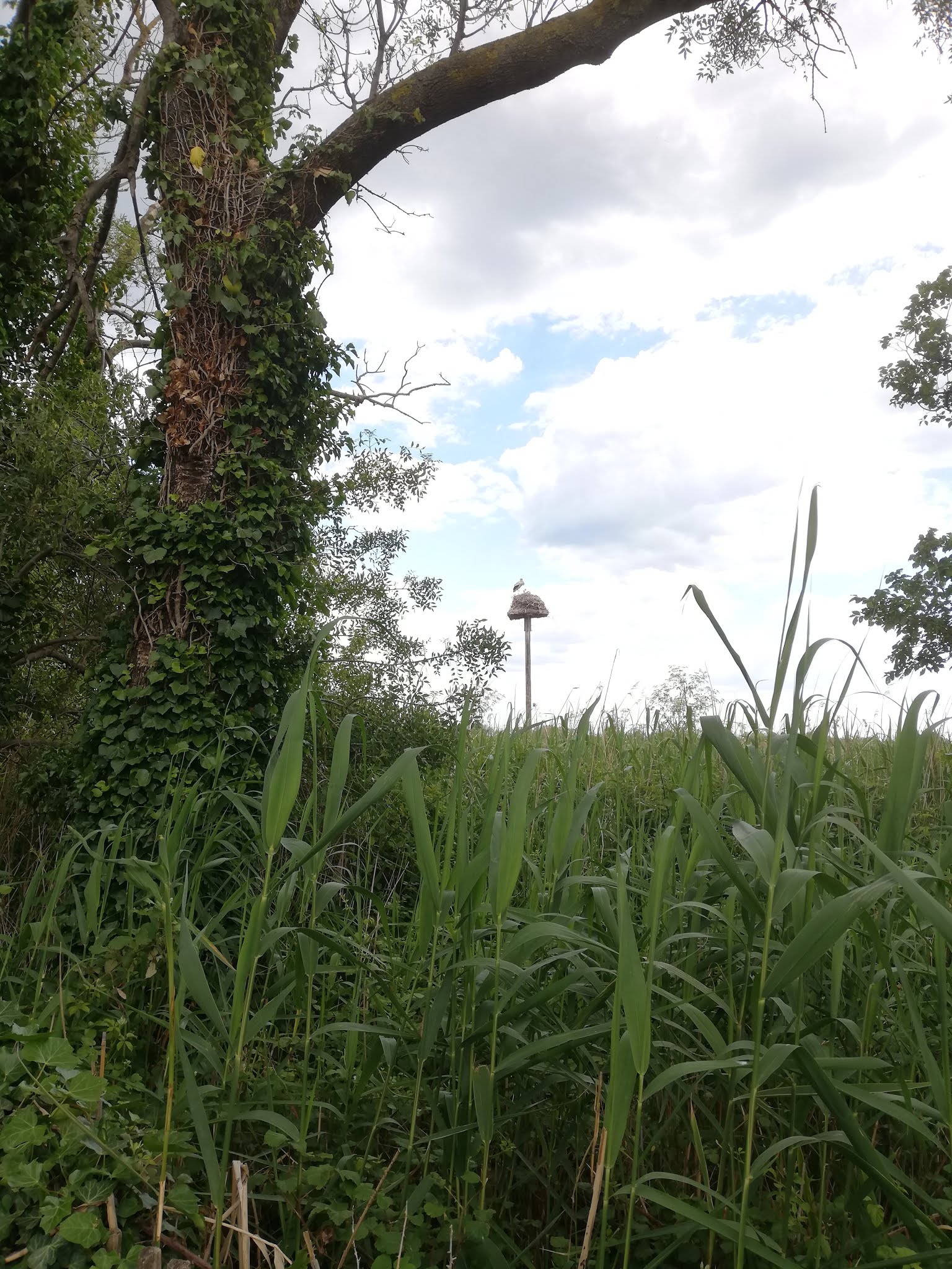 Photo n° 2 de l'avis de Fischer.a fait le 29/05/2019 à 10:53