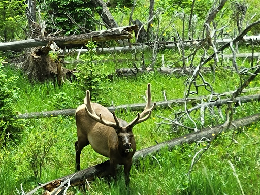 Sightseeing Tour Agency «Aspire Tours», reviews and photos, 6275 W 38th Ave, Wheat Ridge, CO 80033, USA