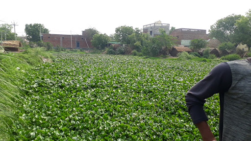 Food Bank for New York City