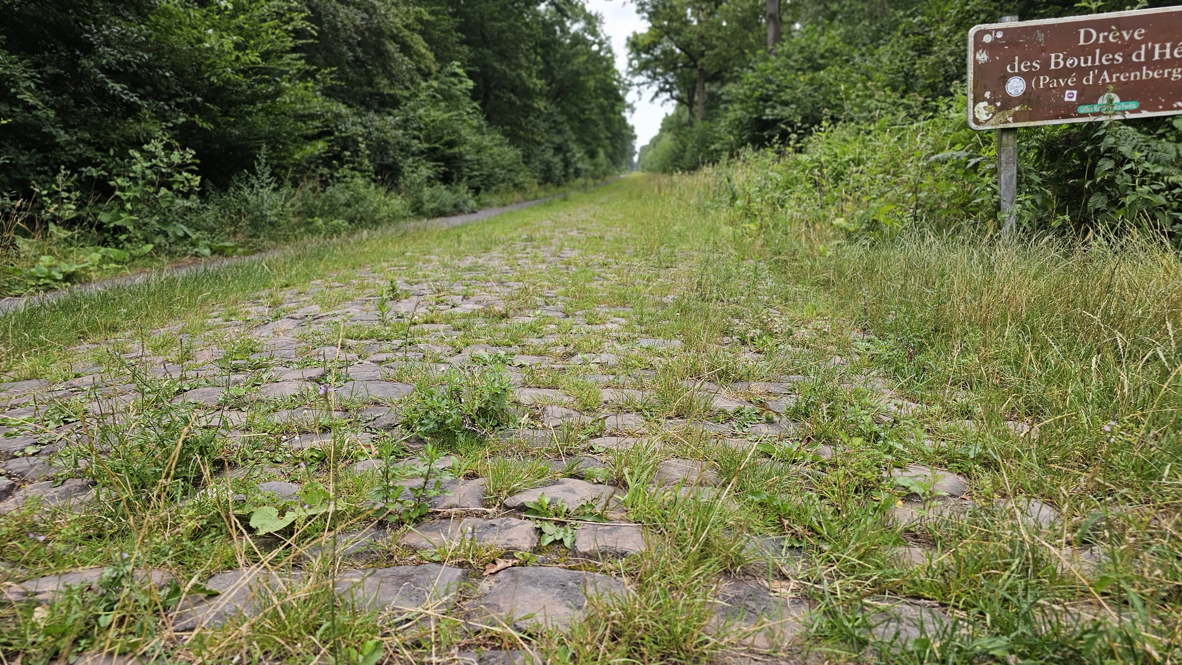 Photo n° 1 de l'avis de Giulio.a fait le 15/07/2023 à 14:05
