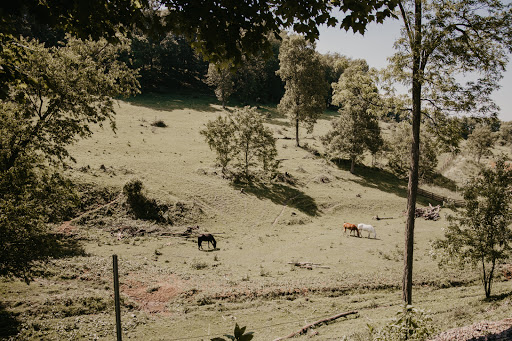 Event Venue «Rivercrest Farm», reviews and photos, 6612 Boy Scout Rd NE, Dover, OH 44622, USA