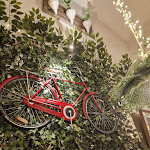 Photo n°8 de l'avis de sala.i fait le 13/02/2023 à 12:20 sur le  Ristorante Urbani à Turin