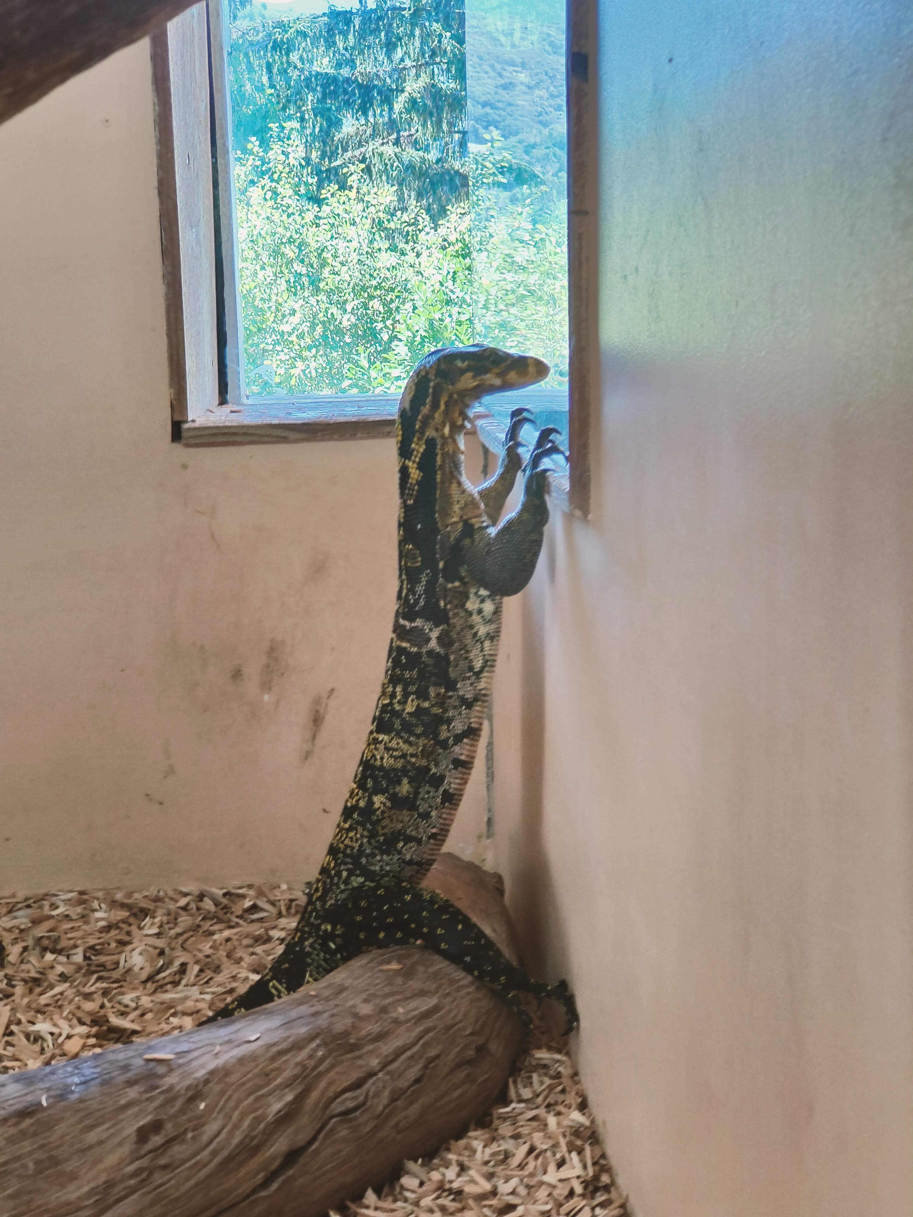 Photo n° 5 de l'avis de Loutre1870. fait le 24/08/2022 à 18:36