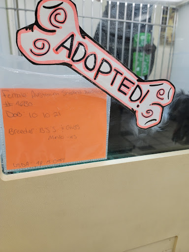 Pet Store «Family Pet Center», reviews and photos, 1401 Greenbrier Pkwy, Chesapeake, VA 23320, USA