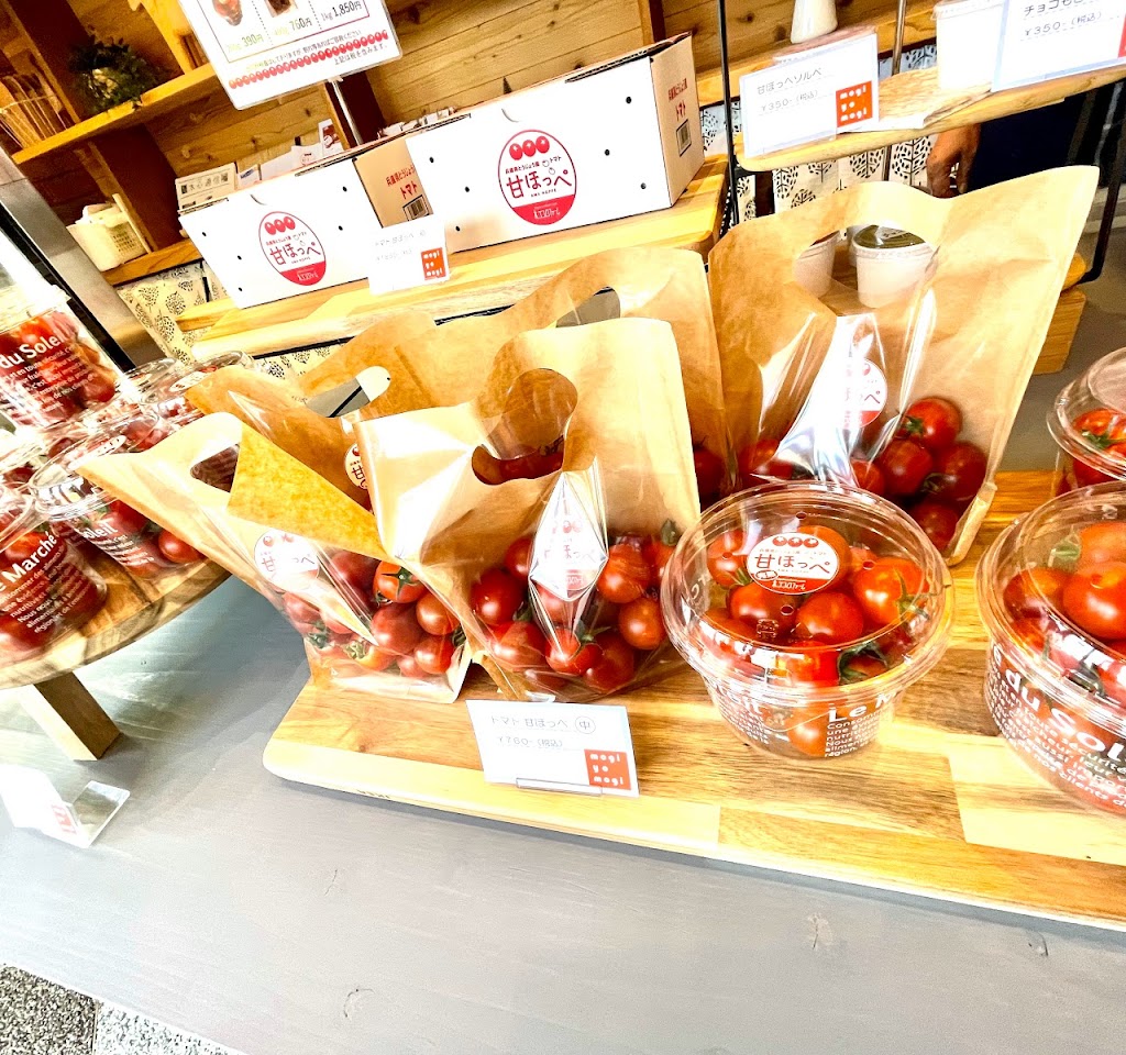 平尾工務店 植物工場直営店「mogiyomogi」