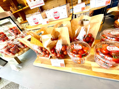 平尾工務店 植物工場直営店「mogiyomogi」