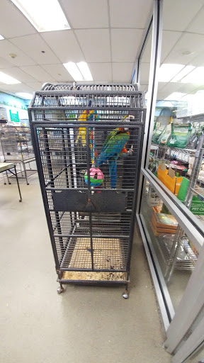 Pet Store «Parrots Of The World Aquarium and Pet Center», reviews and photos, 316 Sunrise Hwy #1, Rockville Centre, NY 11570, USA