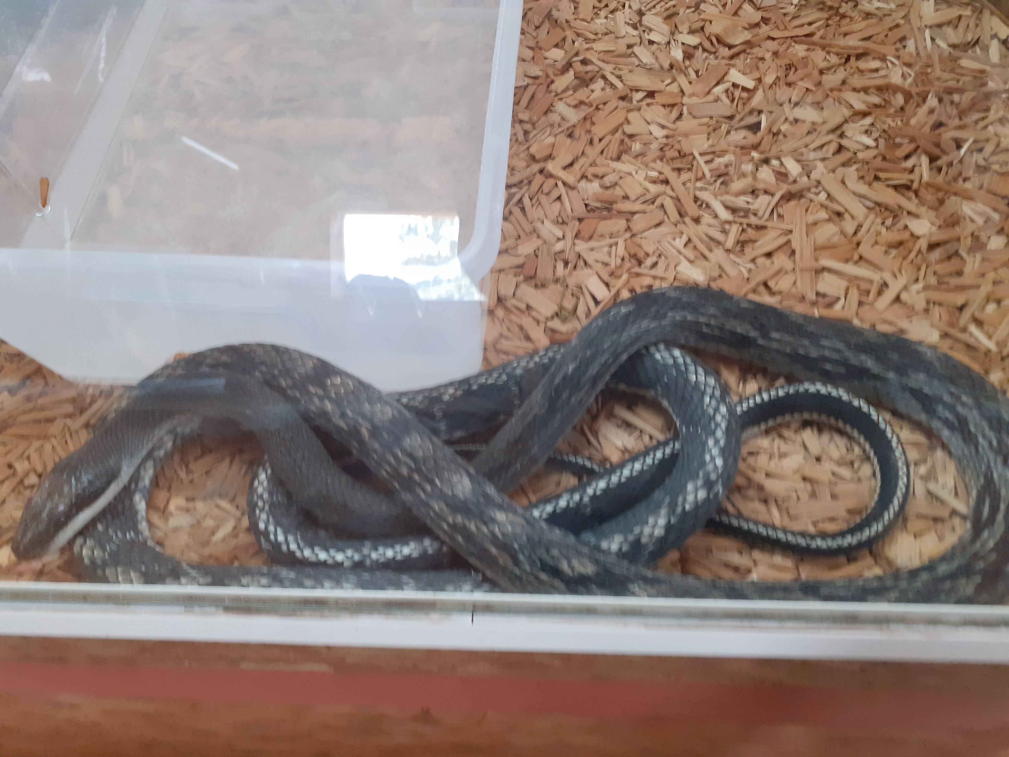 Photo n° 17 de l'avis de valjeux. fait le 26/07/2022 à 11:30